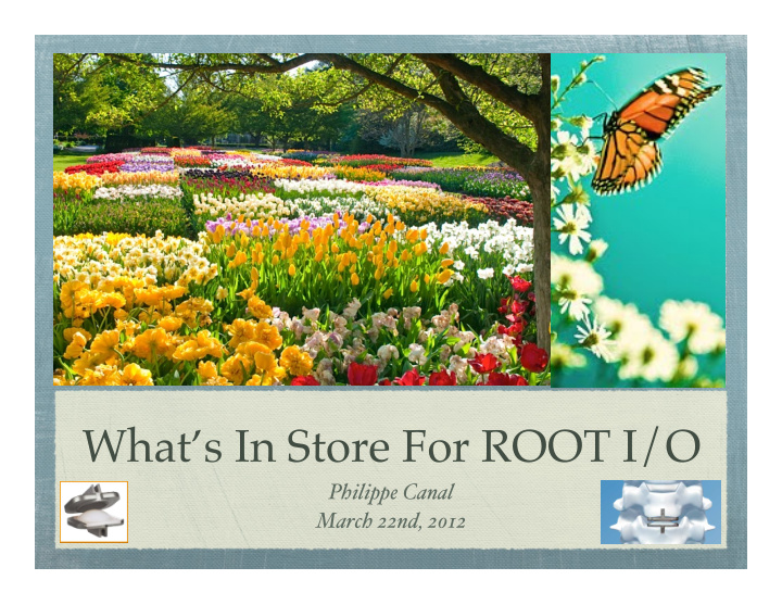 what s in store for root i o