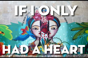 DAOs  Decentralized Autonomous Organizations  Enter Distributed Cooperative  Organizations, but