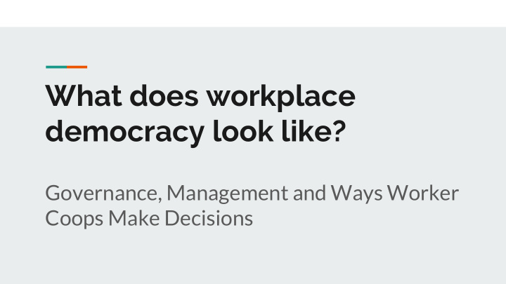 what does workplace democracy look like