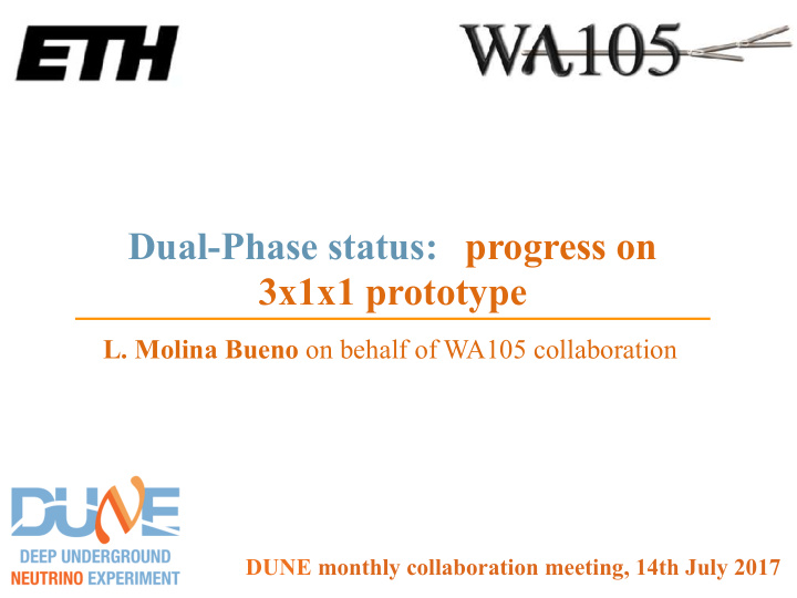 dual phase status progress on 3x1x1 prototype