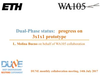 Dual-Phase status: progress on  3x1x1 prototype L. Molina Bueno on behalf of WA105 collaboration