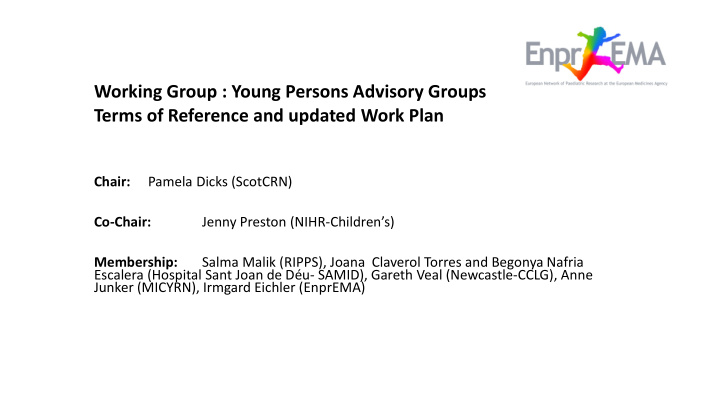 working group young persons advisory groups terms of