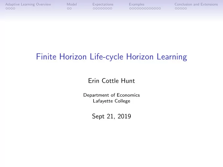 finite horizon life cycle horizon learning