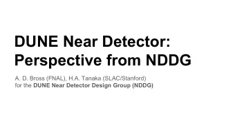 DUNE Near Detector:  Perspective from NDDG  A. D. Bross (FNAL), H.A. Tanaka (SLAC/Stanford) for the