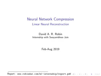 Neural Network Compression  Linear Neural Reconstruction  David A. R. Robin  Internship with