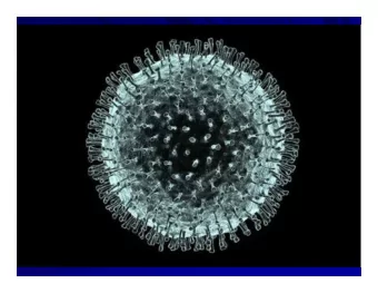 COVID 19 and Cycling:  Panel Discussion  October 28, 2020  Mark Greve, MD Moderator  Michael