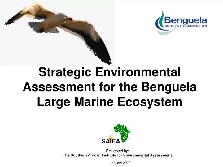strategic environmental