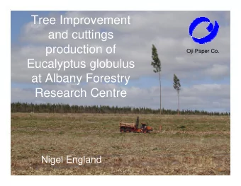 Tree Improvement  and cuttings  production of  Oji Paper Co.  Eucalyptus globulus  at Albany