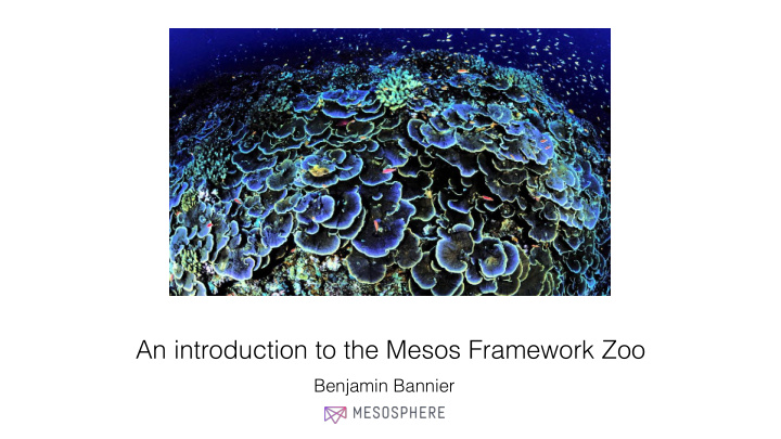 an introduction to the mesos framework zoo