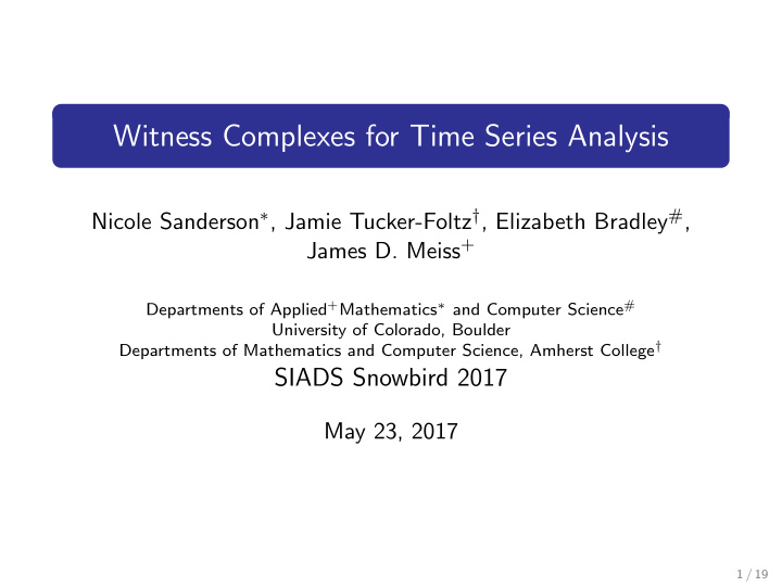 witness complexes for time series analysis
