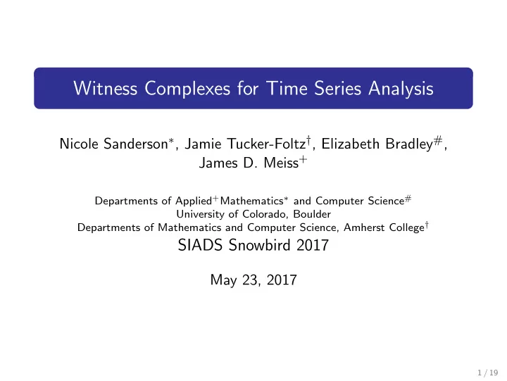 witness complexes for time series analysis