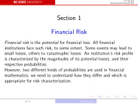 section 1 financial risk