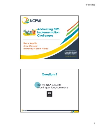 Addressing BIRS  Implementation  Challenges  Myrna Veguilla  Anna Winneker  University of South