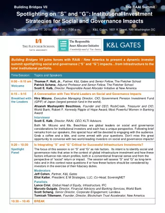 Spotlighting on S and G: Institutional Investment  Strategies for Social and Governance