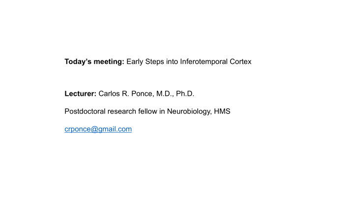 today s meeting early steps into inferotemporal cortex