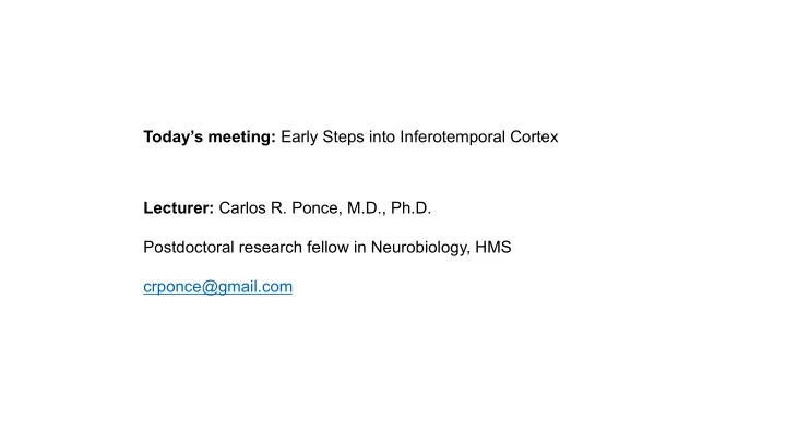 today s meeting early steps into inferotemporal cortex