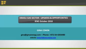 ISRAELI GAS SECTOR - UPDATES &amp; OPPORTUNITIES  IENE October 2018  GINA COHEN