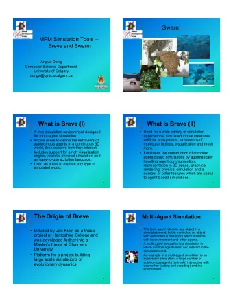 Swarm  MPM Simulation Tools --  Breve and Swarm  Anguo Dong  Computer Science Department