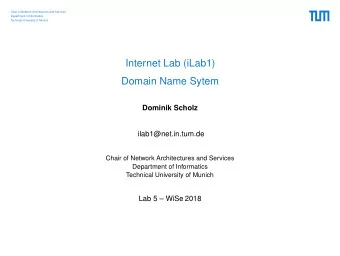 Internet Lab (iLab1)  Domain Name Sytem  Dominik Scholz  ilab1@net.in.tum.de  Chair of Network