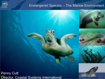 Endangered Species  - The Marine Environment  Penny Cutt  Director, Coastal Systems International