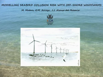 MODELLING SEABIRD COLLISION RISK WITH OFF-SHORE WINDFARMS  M. Mateos, G.M. Arroyo, J.J. Alonso del