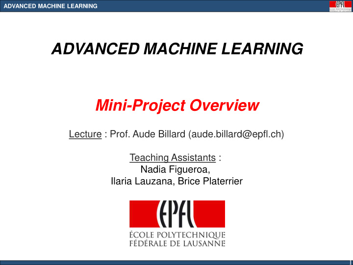 advanced machine learning mini project overview