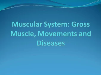 Effect of Exercise on Muscles  Makes muscles become  E  more efficient  and  xercise has