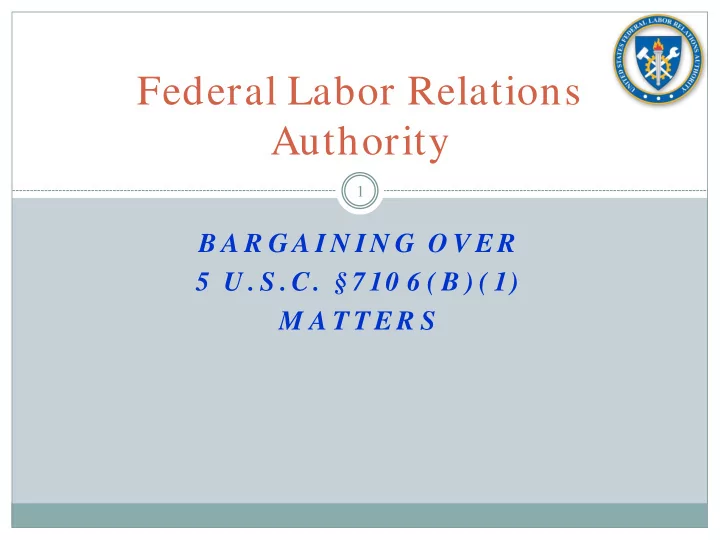 federal labor relations authority