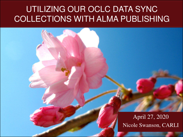 collections with alma publishing