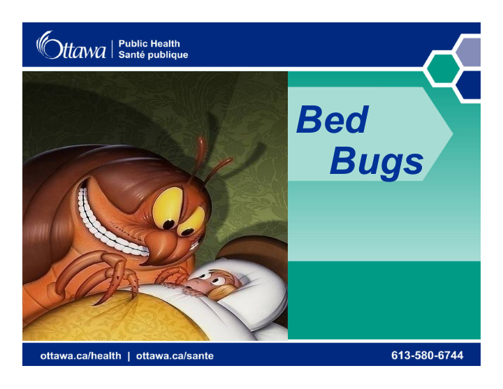 bed bugs outline
