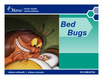 Bed  Bugs  Outline  History  Resurgence  Identification  Prevention  Control