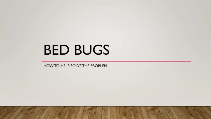 bed bugs