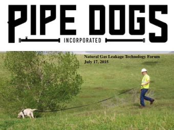 Natural Gas Leakage Technology Forum  July 17, 2015  by Richard Eckles  President &amp; Founder