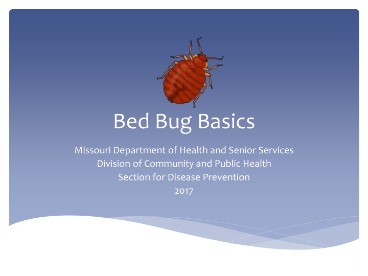 bed bug basics