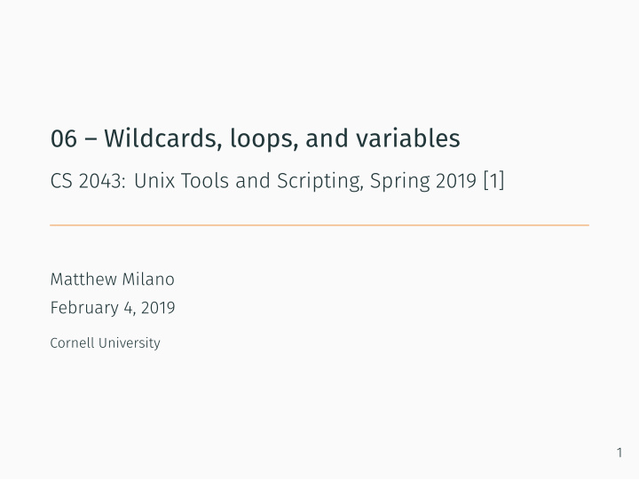 06 wildcards loops and variables