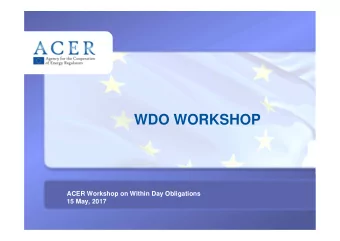 WDO WORKSHOP  ACER Workshop on Within Day Obligations  TI TRE  15 May, 2017  In total  48