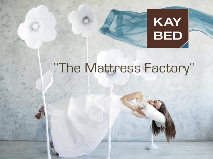the mattress factory kaybed stand for