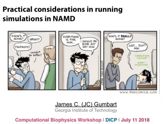 Practical considerations in running  simulations in NAMD  James C. (JC) Gumbart  Georgia Institute