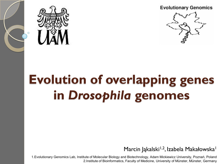evolution of overlapping genes