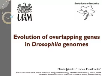 Evolution of overlapping genes in Drosophila genomes Marcin Jkalski 1,2 , Izabela Makaowska 1