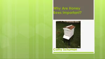 Why Are Honey  Bees Important?  Cathy Schuman  Objectives  Provide information about honey bees  1.
