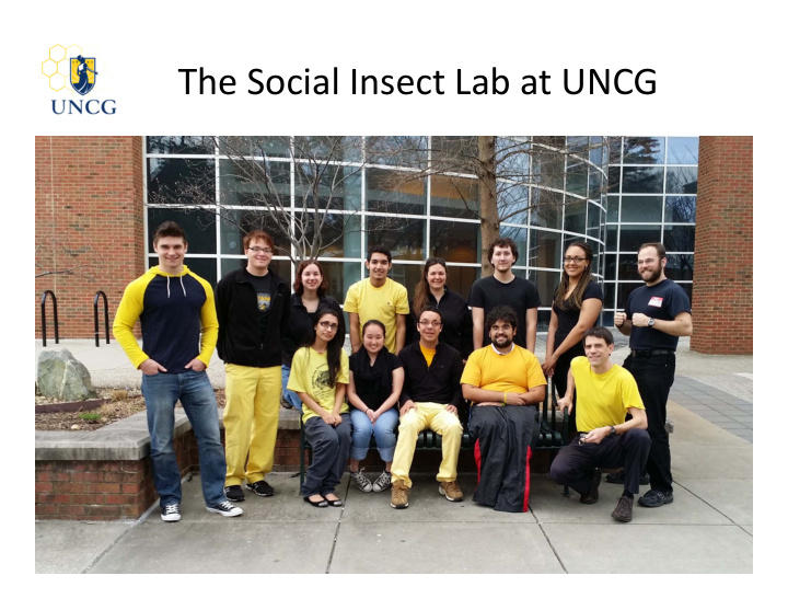 the social insect lab at uncg relevance of honey bees