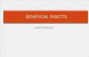 Fruits, Vegetables, Chocolate Bar, Coffee  Insects pollinate the flowers of these plants and