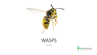 WASPS  Andre Visser  Who is Key Industries  Manufactures and distributors  Renovo
