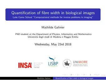Quantification of fibre width in biological images  Lake Como School Computational methods for