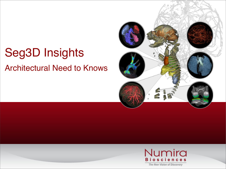 seg3d insights