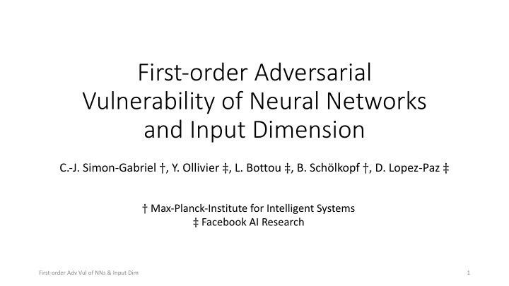 first order adversarial vulnerability of neural networks