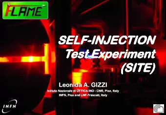 SELF  SE  SELF  SE  SE  SELF  SE  SELF  LF-INJECTION  LF  LF  LF-INJECTION  INJECTION  INJECTION