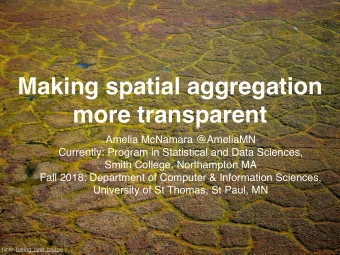 Making spatial aggregation  more transparent  Amelia McNamara @AmeliaMN  Currently: Program in