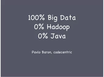 100% Big Data  0% Hadoop  0% Java  Pavlo Baron, codecentric  pavlo.baron@codecentric.de